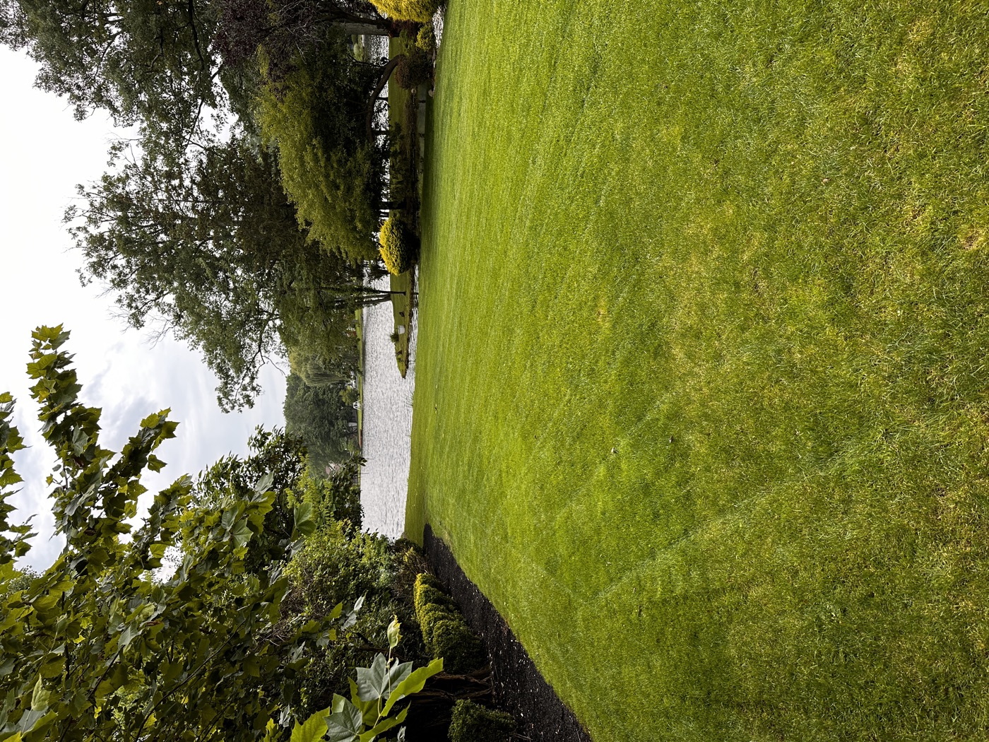 Freshly mowed lawn with crisp stripes